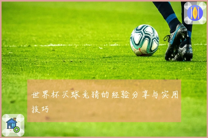 世界杯买球竞猜的经验分享与实用技巧