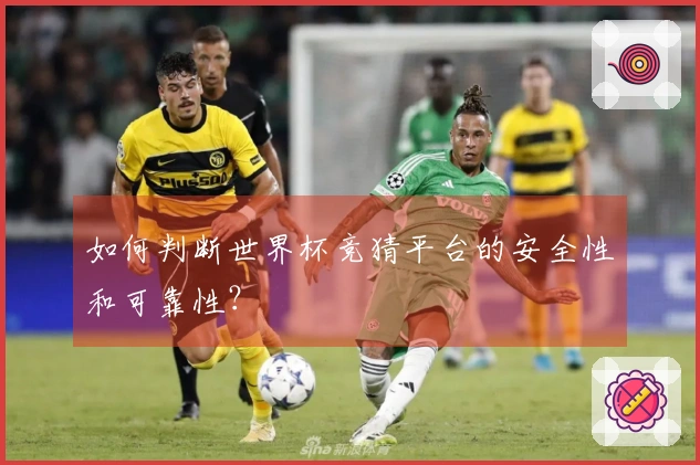 如何判断世界杯竞猜平台的安全性和可靠性？