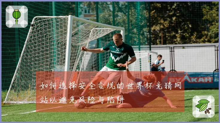 如何选择安全合规的世界杯竞猜网站以避免风险与陷阱