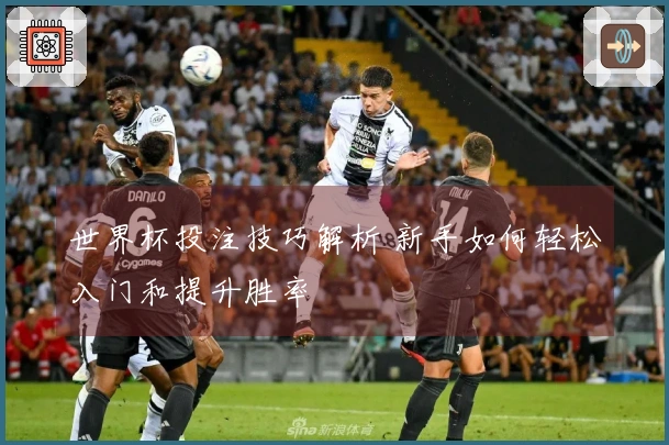 世界杯投注技巧解析 新手如何轻松入门和提升胜率