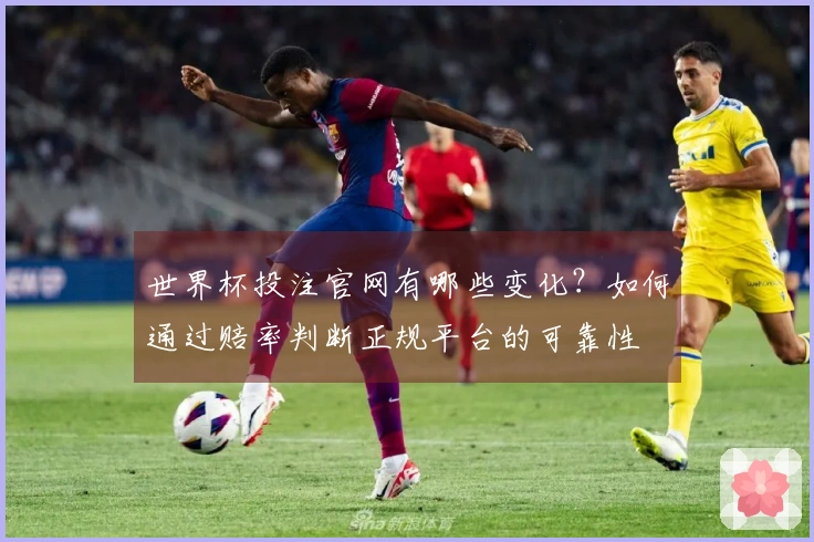 世界杯投注官网有哪些变化？如何通过赔率判断正规平台的可靠性