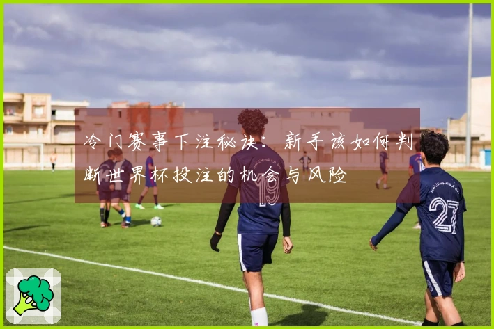 冷门赛事下注秘诀：新手该如何判断世界杯投注的机会与风险