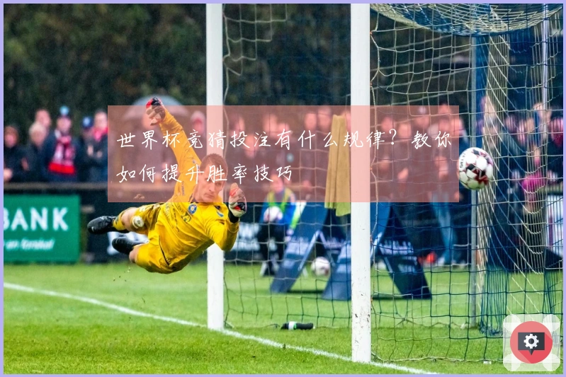 世界杯竞猜投注有什么规律？教你如何提升胜率技巧