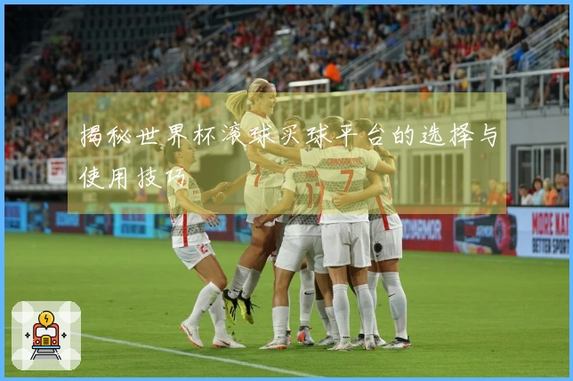 揭秘世界杯滚球买球平台的选择与使用技巧