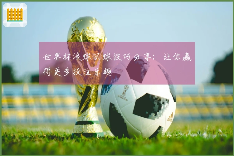 世界杯滚球买球技巧分享：让你赢得更多投注乐趣
