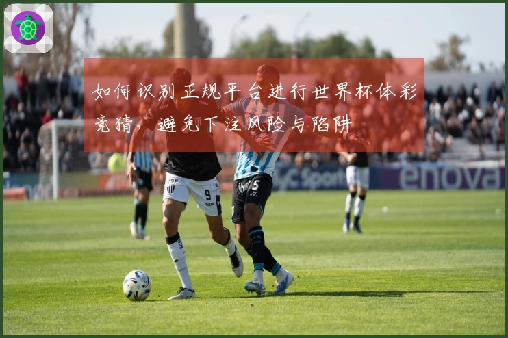 如何识别正规平台进行世界杯体彩竞猜，避免下注风险与陷阱