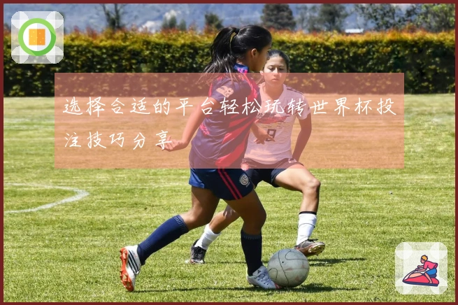 选择合适的平台轻松玩转世界杯投注技巧分享