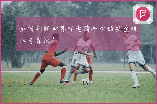 如何判断世界杯竞猜平台的安全性和可靠性？
