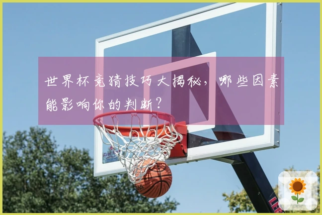 世界杯竞猜技巧大揭秘，哪些因素能影响你的判断？