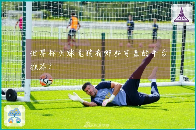 世界杯买球竞猜有哪些可靠的平台推荐？