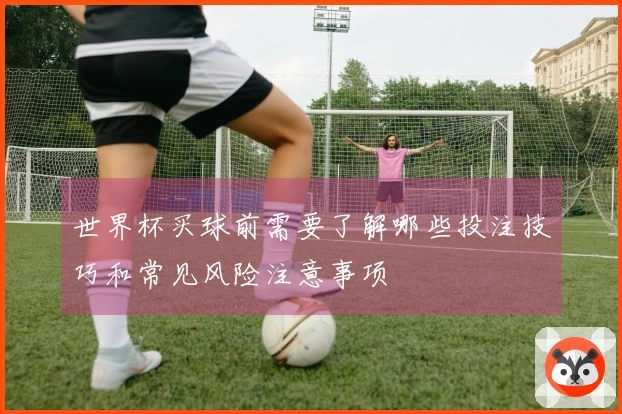 世界杯买球前需要了解哪些投注技巧和常见风险注意事项