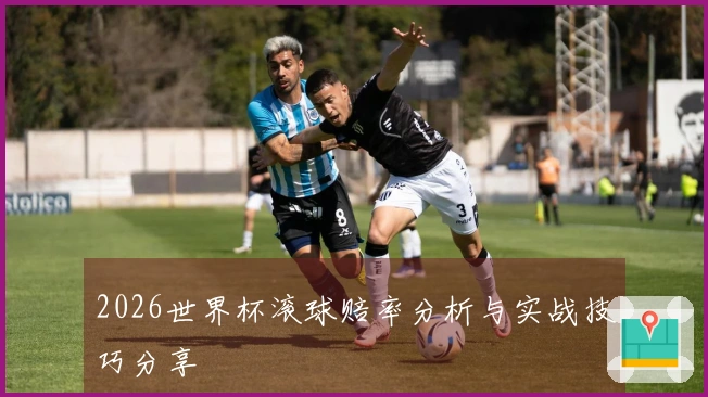 2026世界杯滚球赔率分析与实战技巧分享