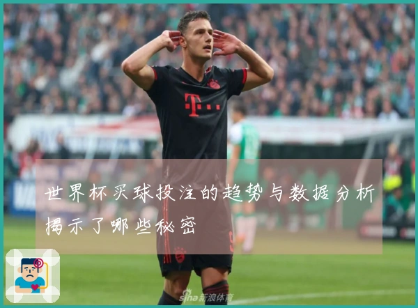 世界杯买球投注的趋势与数据分析揭示了哪些秘密
