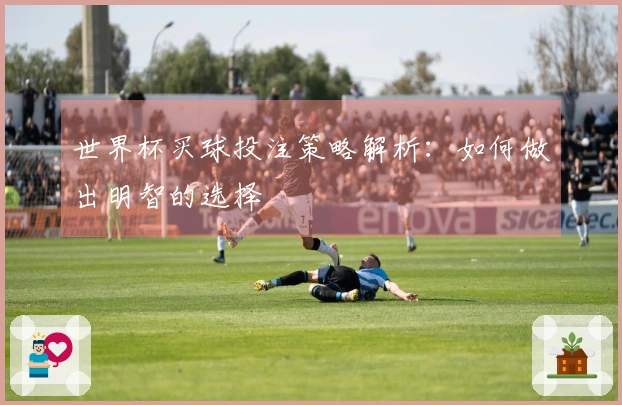 世界杯买球投注策略解析：如何做出明智的选择
