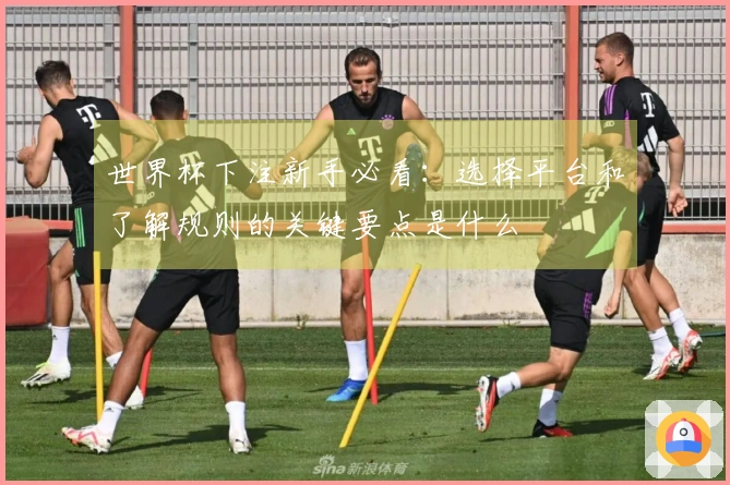 世界杯下注新手必看：选择平台和了解规则的关键要点是什么