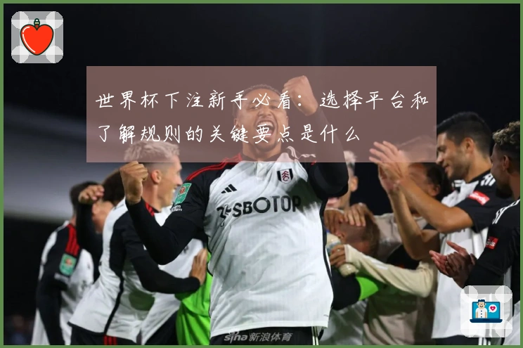 世界杯下注新手必看：选择平台和了解规则的关键要点是什么
