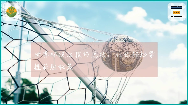 世界杯投注技巧总结，让你轻松掌握获胜秘笈