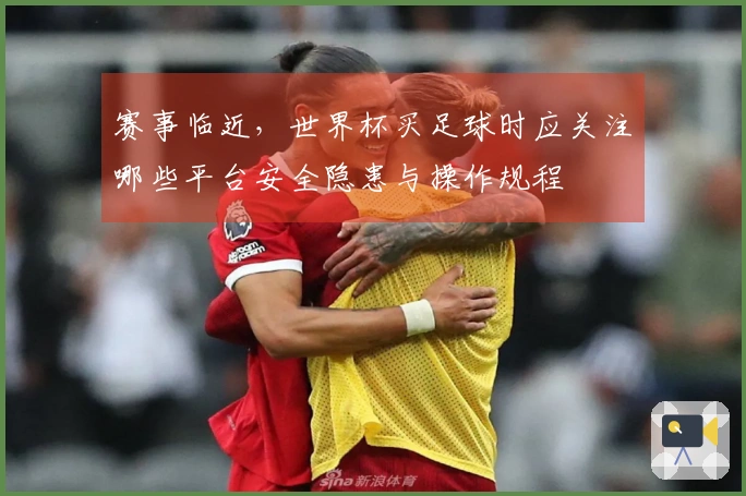 赛事临近，世界杯买足球时应关注哪些平台安全隐患与操作规程