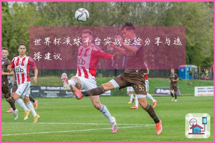 世界杯滚球平台实战经验分享与选择建议