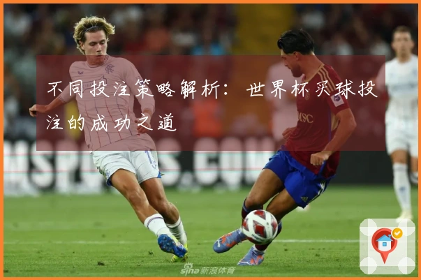 不同投注策略解析：世界杯买球投注的成功之道