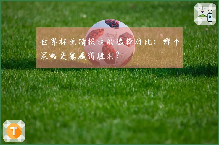 世界杯竞猜投注的选择对比：哪个策略更能赢得胜利？