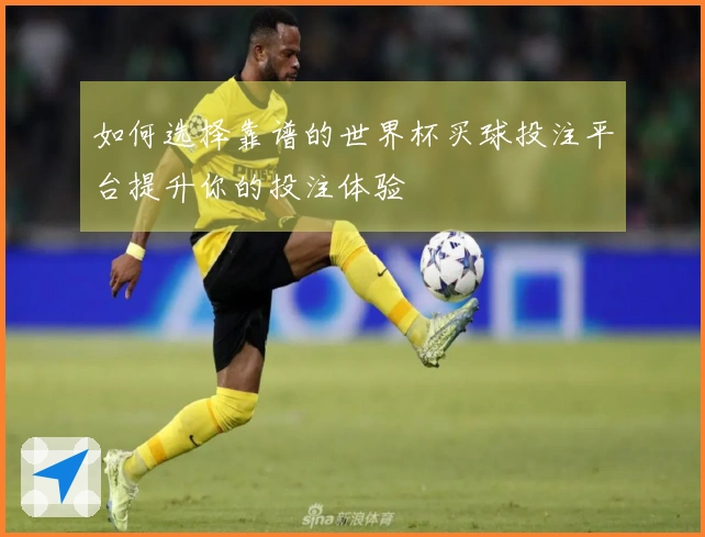 如何选择靠谱的世界杯买球投注平台提升你的投注体验